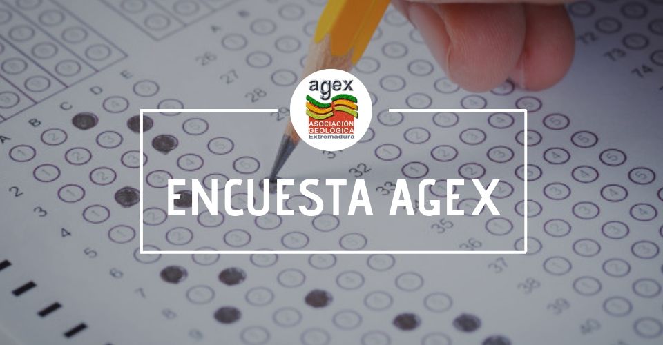 encuesta agex 2019