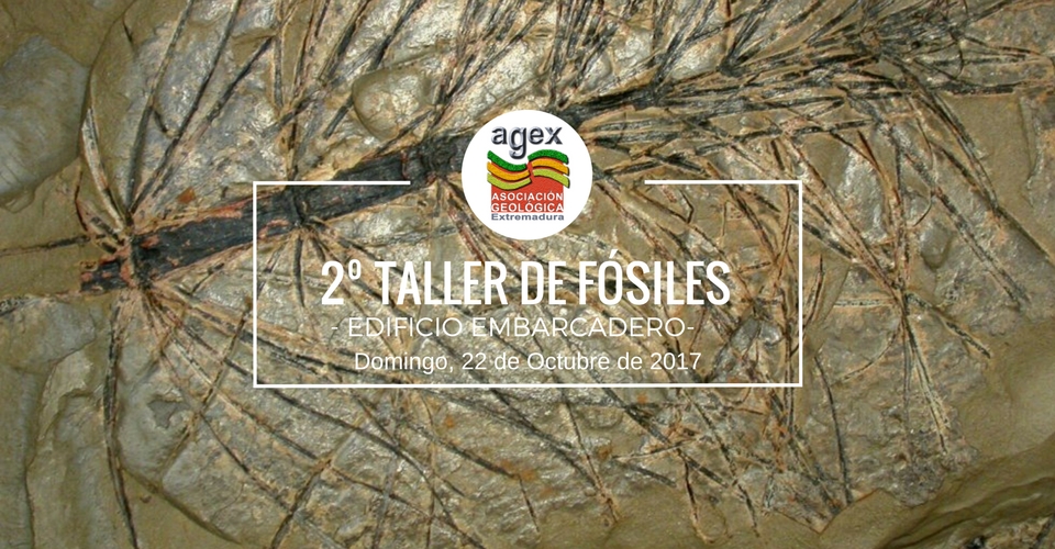 2 taller geologico caceres 2017