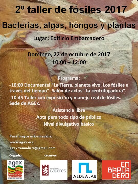 2 TALLER FOSILES CACERES 2017