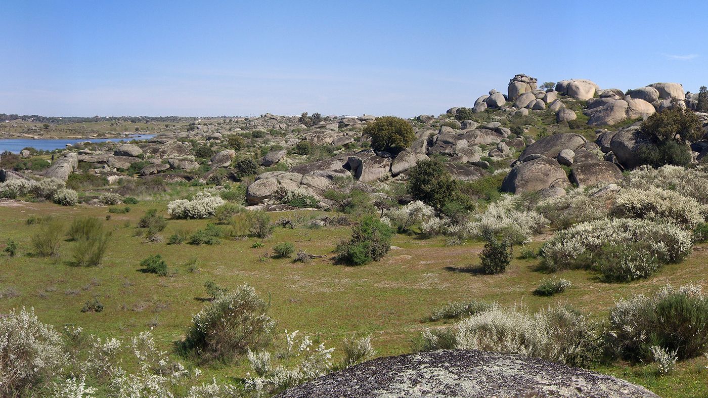 GEOLODÍA CÁCERES 2016