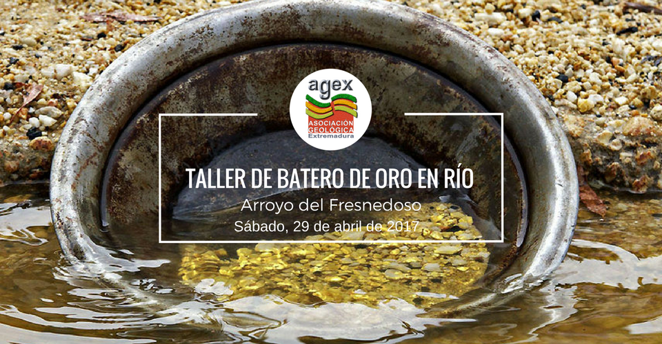 agex taller bateo