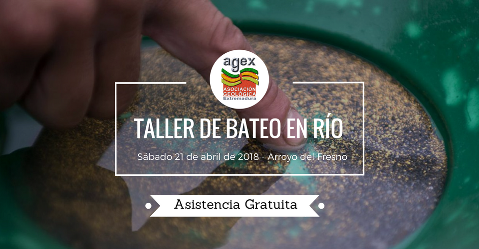 agex taller bateo