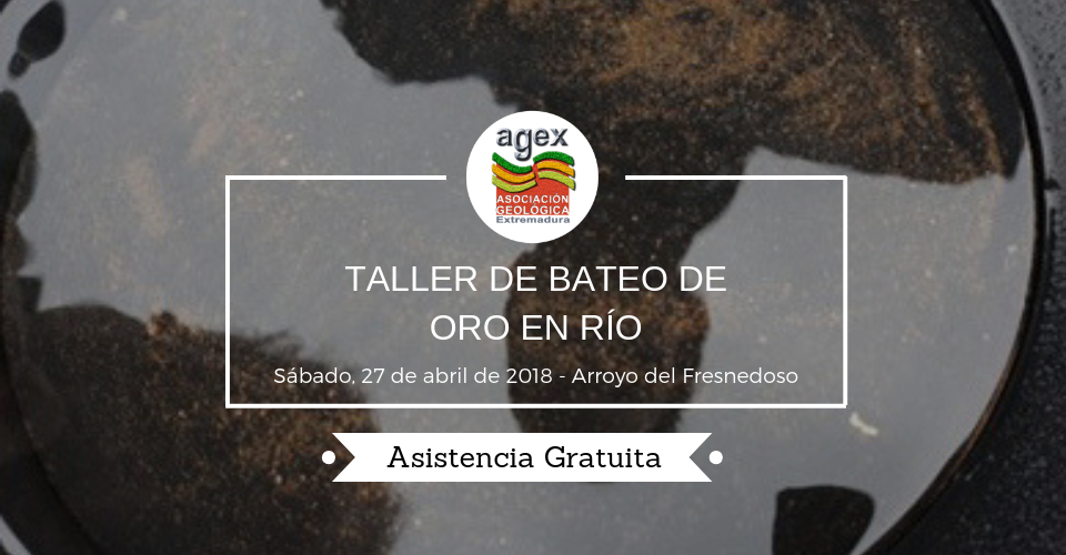 agex taller bateo