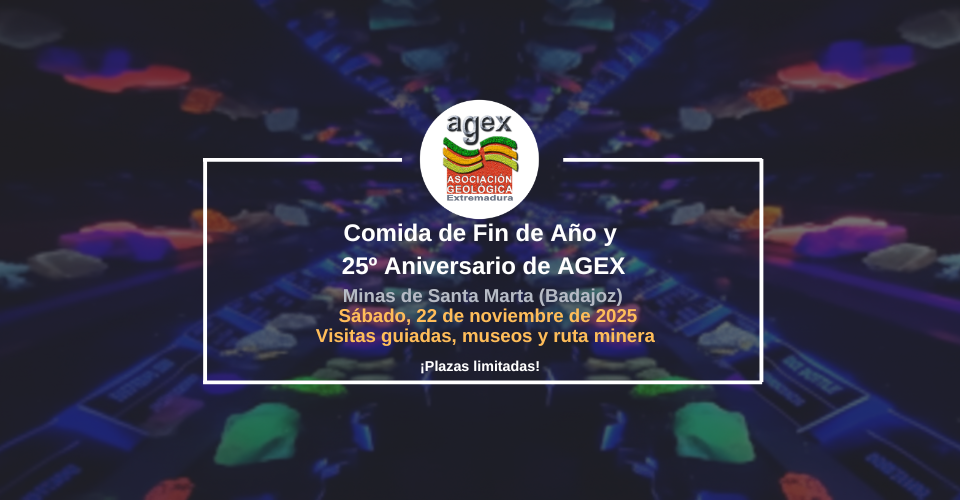 Comida y aniversario Agex | Actividades AGEx