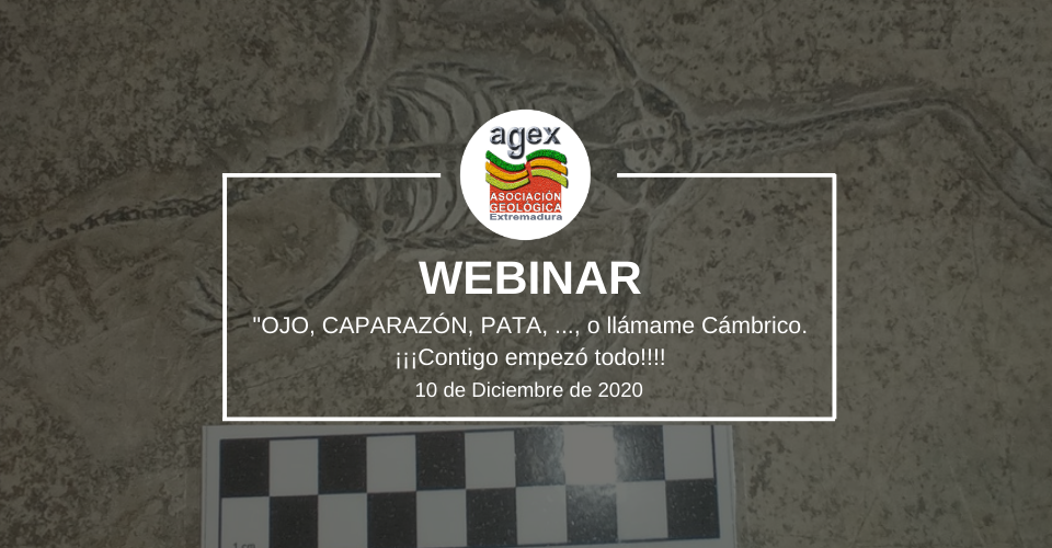 webinar diciembre